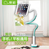 赛鲸 牵牛花Pro 手机平板支架懒人支架 桌面直播 床上床头支架 兼容iPadPro 100CM 薄荷绿