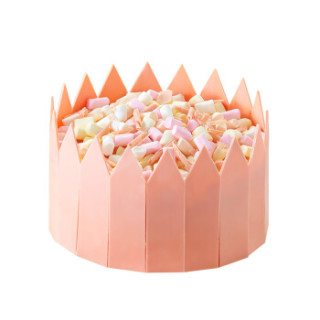 诺心lecake公主蛋糕24人食