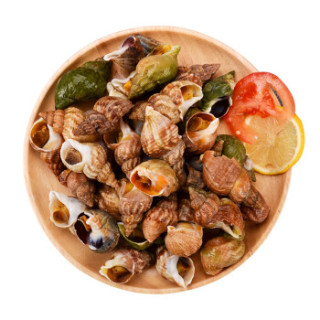 海买冰岛北蛾螺350g袋1525只海鲜水产