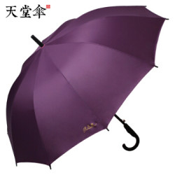 天堂伞 抗风双人雨伞长柄 10骨超大号半自动直杆晴雨两用伞商务伞天际灰