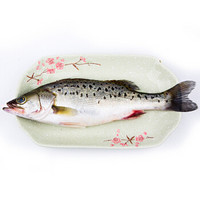 渔传播FISHERY PROPAGATION 浙江舟山冰鲜海鲈鱼600g 1条 海鲜水产