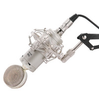  iSK/声科 BM-5000 专业喊麦 电容麦克风套装+声卡