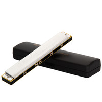 國光 国光28孔宽音域带音阶复音口琴C调(银色)