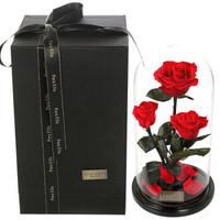Para Ella 6朵红色永生花玫瑰花礼盒 母亲节礼物