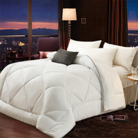 百富帝(byford)大豆纤维加厚棉被秋冬被子单双人冬天保暖被芯152*218cm 大豆白