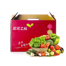 沱沱工社 有机蔬菜礼盒 约5kg 新鲜蔬菜