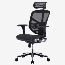 保友Ergonor电脑椅 联友人体工学椅 金卓高配版Enjoy办公椅子 铝合金椅脚-黑网+凑单品