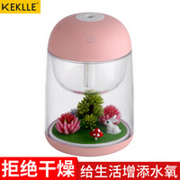 KEKLLE 微景观加湿器 创意礼品 迷你静音空气补水器USB宿舍卧室桌面喷雾香薰增湿送朋友亲人爱人 KC05 粉色