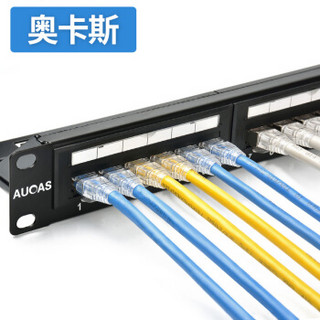 奥卡斯（AUCAS）六类19英寸24口网络配线架 CAT6加厚型镀金机柜机架式 ACPP61UP24