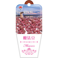 北京东升种业（DS）魔法豆  花卉种子  四季种植 家庭阳台 园艺休闲