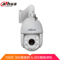 da hua 大华 dahua监控摄像头 130万高清网络室外摄像机 监控智能球机 红外夜视 360度旋转 光学变焦DH-SD6120