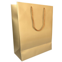 京惠思创 JH0455 牛皮纸礼品袋礼物袋纸质手提袋 大号10个装 金色