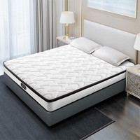 Geek/极客 床垫 D2 白色 天然乳胶 椰棕 独立袋装弹簧 150*200*24cm