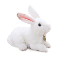 威尔通WELTSTON 毛绒玩具创意萌兔公仔送女生儿童礼物抱枕靠垫布娃娃节日好礼 仿真小白兔 24cm