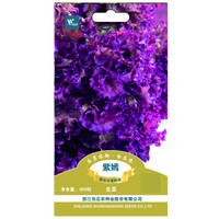 勿忘农紫嫣紫生菜种子四季蔬菜阳台庭院种植300粒/袋