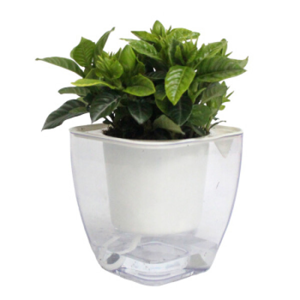 商品花七休栀子花透明自吸水塑料花盆花卉绿植盆栽室内居家桌面阳台