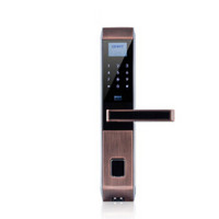 正泰（CHNT）Chinergy-Lock-10203  红古铜  平板  光学  带Wifi 指纹锁 /个
