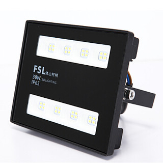 FSL/佛山照明 LED投射灯FZ58系列-30W 30W 白光