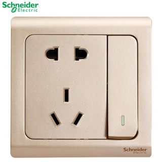 施耐德 Schneider 轻逸系列10A 250V 开关二/三极 格调金