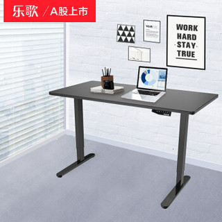 乐歌（Loctek）站立式办公电动升降电脑桌学习桌现代简约家用写字书桌办公桌显示器工作台 E1/1.2m雅黑套装