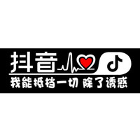 车动力 抖音车贴汽车贴纸反光贴文字 抖音同款汽车用品车贴纸 单行字:我能抵挡一切 除了诱惑 抖音车贴
