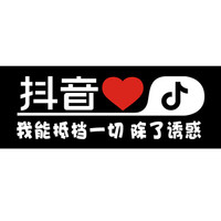 车动力 抖音车贴汽车贴纸反光贴文字 抖音同款汽车用品车贴纸 单行字:我能抵挡一切 除了诱惑 抖音车贴