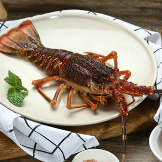 味库 南非鲜活大龙虾 200-300g 1只  海鲜水产