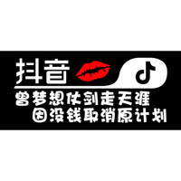 车动力 抖音车贴反光七彩贴膜个性抖友创意车贴纸汽车用品 单行字:曾梦想仗剑走天涯