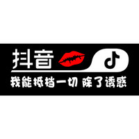 车动力 抖音车贴汽车贴纸反光贴文字 抖音同款汽车用品车贴纸 单行字:我能抵挡一切 除了诱惑 抖音车贴