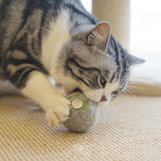 迪普尔 宠物猫玩具幼猫成猫猫薄荷羊毛球胶囊逗猫玩具逗猫棒薄荷球羊毛球形猫咪玩具