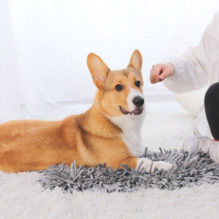 华元宠具（hoopet）狗狗嗅闻垫宠物地毯玩具法斗泰迪小狗垫子