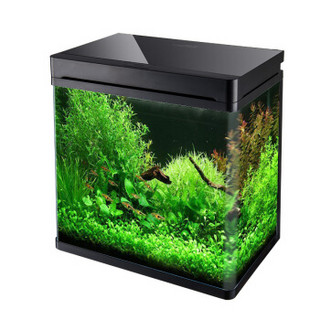 鱼之宝 小型桌面鱼缸高清玻璃缸体钢化玻璃盖面生态创意LED灯带过滤水族箱GT-4黑色款 40.6*26.8*43.6cm