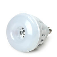 红壹佰 LED螺口工矿灯 V3 40W