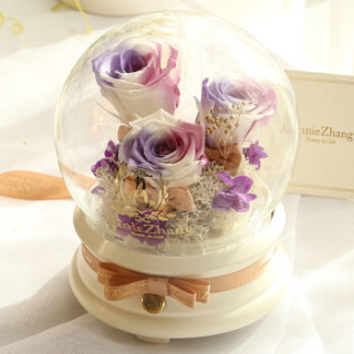 Annie Zhang 安妮姐永生花 安妮3朵5情人节礼物紫色渐变永生花玻璃罩礼盒蓝牙音箱玫瑰花彩灯保鲜花速递母亲节生日礼物送女生妈妈 报价价格评测怎么样 什么值得买