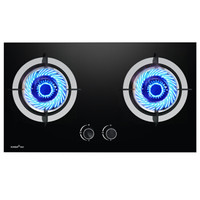 迅达（XUNDA） 燃气灶 嵌入式煤气灶双灶 钢化玻璃旋流猛火液化气灶 2-NB8316B