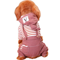 hoopet 华元宠具 中小型犬 秋冬装四脚衣女巫帽背带装 XL *5件