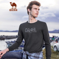 骆驼（CAMEL）男装 T恤男时尚圆领纯色字母绣花长袖上衣D8A374272深灰L