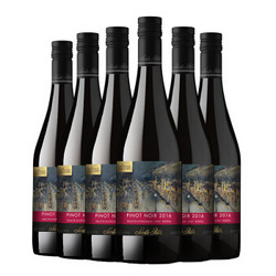 智利进口红酒 圣丽塔国家画廊珍藏黑皮诺干红葡萄酒 750ml*6瓶 整箱装 *2件