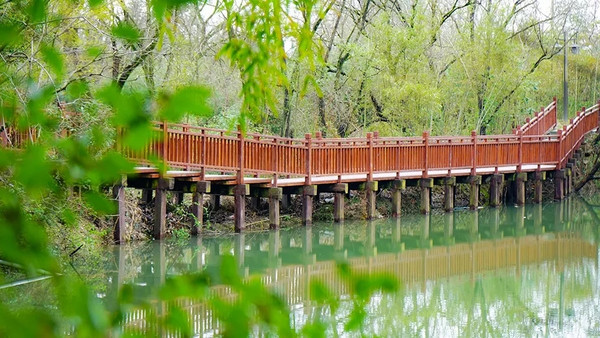 推窗即景！杭州西溪十里芳菲度假村落1晚套餐 含早餐，西溪湿地门票