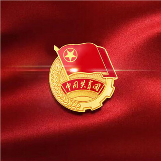 谋福l9522团徽徽章中国共青团磁扣款9个装