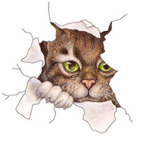 博尔改 汽车贴纸3D贴纸仿真裂痕穿墙贴纸 小猫车贴油箱盖车尾装饰贴小猫