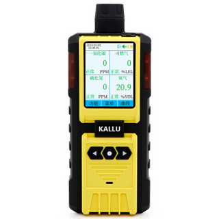 凯陆电子（kallu Electronic）K-600 泵吸式气体检测仪 硫化氢浓度泄漏报警器