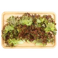 京觅优选 红叶生菜 沙拉 轻食 健身 生食 辅食 低卡 约200g 京东植物工厂水培蔬菜