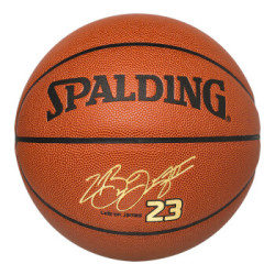 斯伯丁spalding76455y詹姆斯签名篮球nba室内外通用蓝球新款