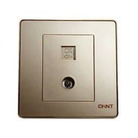 正泰（CHNT）NEW6-D20902一联四芯电话插座 一联八芯数据插座墙壁插座 /个