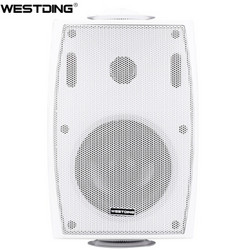 WESTDING 威斯汀 B04 音响 音箱 高保真壁挂式喇叭会议式音响 （白色）