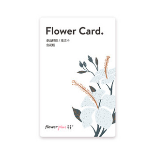 花+（flowerplus）简花·单品单次兑换卡（含花瓶） 送礼 定制