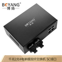 博扬(BOYANG)BY-DG204S 千兆二光四电单模双纤光纤收发器交换机 光电转换器 防雷SC接口 25公里外置电源