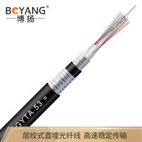 博扬（BOYANG）BY-GYTA53-24B1.3重铠地埋24芯单模室外光缆 GYTA53层绞式直埋网线光纤线 3000米轴
