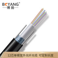 博扬（BOYANG）BY-GYXTW-12B1 12芯单模室外光纤光缆 GYXTW中心管式室外网线架空光缆 1米 可定制长度